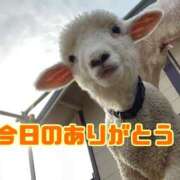 ヒメ日記 2025/09/06 20:12 投稿 相川【あいかわ】 丸妻 西船橋店