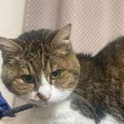 ヒメ日記 2025/09/07 09:41 投稿 相川【あいかわ】 丸妻 西船橋店