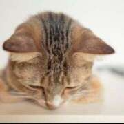 ヒメ日記 2025/10/06 20:28 投稿 相川【あいかわ】 丸妻 西船橋店