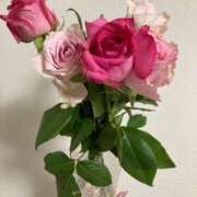 ヒメ日記 2025/07/07 00:17 投稿 あん ナイトヴィーナス