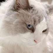 ヒメ日記 2025/08/27 00:26 投稿 あずさ お姉さんSelect