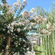 ヒメ日記 2025/09/16 10:08 投稿 まみ【一度咥えたら離さない】 なすがママされるがママ 宇都宮