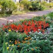 ヒメ日記 2025/09/24 21:58 投稿 まみ【一度咥えたら離さない】 なすがママされるがママ 宇都宮