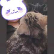 ヒメ日記 2026/01/16 16:06 投稿 にこ ぽっちゃり巨乳素人専門 埼玉越谷ちゃんこ