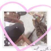 ヒメ日記 2026/03/17 15:30 投稿 にこ ぽっちゃり巨乳素人専門 埼玉越谷ちゃんこ