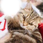 ヒメ日記 2026/04/06 20:51 投稿 にこ ぽっちゃり巨乳素人専門 埼玉越谷ちゃんこ