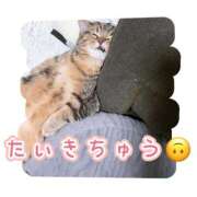 ヒメ日記 2026/04/17 22:46 投稿 にこ ぽっちゃり巨乳素人専門 埼玉越谷ちゃんこ