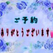 ヒメ日記 2024/11/07 07:15 投稿 桜 市原五井蘇我ちゃんこ