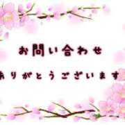 ヒメ日記 2024/12/29 19:25 投稿 桜 市原五井蘇我ちゃんこ