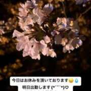 ヒメ日記 2025/04/04 07:15 投稿 れいか 宮崎ちゃんこ都城店