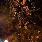 ヒメ日記 2026/04/02 20:05 投稿 れいか 宮崎ちゃんこ都城店