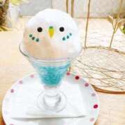 ヒメ日記 2025/06/16 15:19 投稿 みか 奥様プリモ