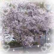 ヒメ日記 2026/04/05 13:39 投稿 みか 奥様プリモ