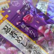 ヒメ日記 2026/04/24 12:03 投稿 ねこ 池袋あられ