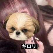 ヒメ日記 2025/02/13 05:35 投稿 みさ Limited SPA(リミテッドスパ)