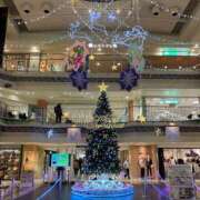 ヒメ日記 2024/12/16 18:40 投稿 あき 快楽夫人