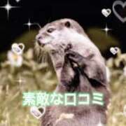 ヒメ日記 2025/01/07 19:43 投稿 神楽ひな ウルトラホワイト