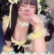 ヒメ日記 2025/04/12 23:20 投稿 神楽ひな ウルトラホワイト