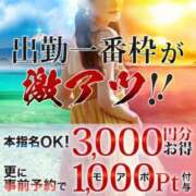 ヒメ日記 2024/11/09 08:03 投稿 しぇりー 沼津人妻花壇