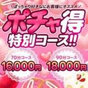 ヒメ日記 2025/01/05 10:45 投稿 しぇりー 沼津人妻花壇