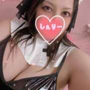 ヒメ日記 2025/05/06 16:01 投稿 しぇりー 沼津人妻花壇