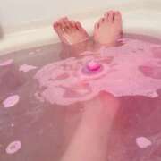 ヒメ日記 2025/03/23 18:53 投稿 ここな 熊本しこたまクリニック