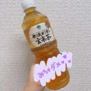 ヒメ日記 2025/06/14 13:51 投稿 ここな 熊本しこたまクリニック