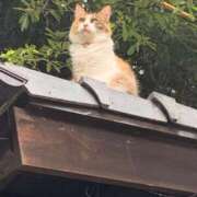 ヒメ日記 2025/06/21 23:20 投稿 ここな 熊本しこたまクリニック