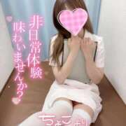 ヒメ日記 2025/07/11 09:20 投稿 ここな 熊本しこたまクリニック