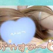 ヒメ日記 2025/07/17 00:00 投稿 ここな 熊本しこたまクリニック