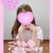 ヒメ日記 2025/07/17 09:20 投稿 ここな 熊本しこたまクリニック