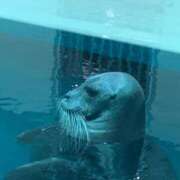 ヒメ日記 2025/07/25 22:20 投稿 ここな 熊本しこたまクリニック