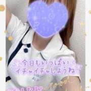 ヒメ日記 2025/07/28 09:20 投稿 ここな 熊本しこたまクリニック