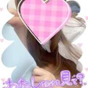 ヒメ日記 2025/07/29 09:20 投稿 ここな 熊本しこたまクリニック