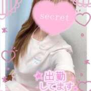 ヒメ日記 2025/09/09 20:20 投稿 ここな 熊本しこたまクリニック