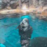 ヒメ日記 2025/09/09 21:50 投稿 ここな 熊本しこたまクリニック