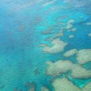 ヒメ日記 2025/10/09 23:00 投稿 ここな 熊本しこたまクリニック