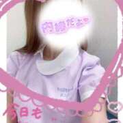 ヒメ日記 2025/11/09 14:50 投稿 ここな 熊本しこたまクリニック