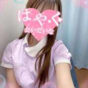 ヒメ日記 2025/11/12 09:20 投稿 ここな 熊本しこたまクリニック