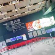 ヒメ日記 2025/11/14 17:20 投稿 ここな 熊本しこたまクリニック