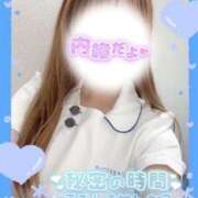 ヒメ日記 2025/11/20 09:20 投稿 ここな 熊本しこたまクリニック