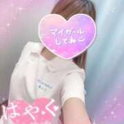 ヒメ日記 2025/12/08 14:50 投稿 ここな 熊本しこたまクリニック