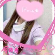 ヒメ日記 2025/12/16 00:12 投稿 ここな 熊本しこたまクリニック