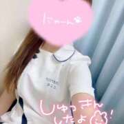 ヒメ日記 2025/12/19 09:20 投稿 ここな 熊本しこたまクリニック