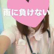 ヒメ日記 2024/12/21 15:23 投稿 しろ 熊本しこたまクリニック