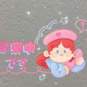 ヒメ日記 2024/12/29 13:08 投稿 しろ 熊本しこたまクリニック