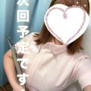 ヒメ日記 2025/02/04 22:23 投稿 しろ 熊本しこたまクリニック