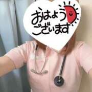 ヒメ日記 2025/02/09 08:33 投稿 しろ 熊本しこたまクリニック