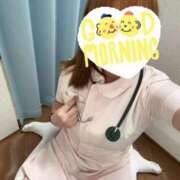 ヒメ日記 2025/03/20 08:43 投稿 しろ 熊本しこたまクリニック