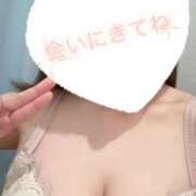 ヒメ日記 2025/04/13 07:53 投稿 しろ 熊本しこたまクリニック